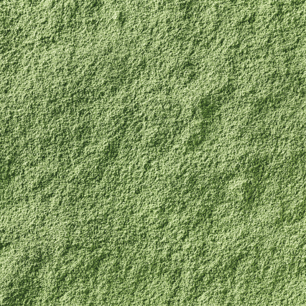 Brahmi Powder - Organic