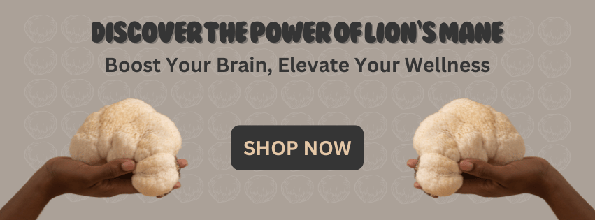 Discover the Power of Lion’s Mane (4)