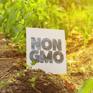 Non GMO