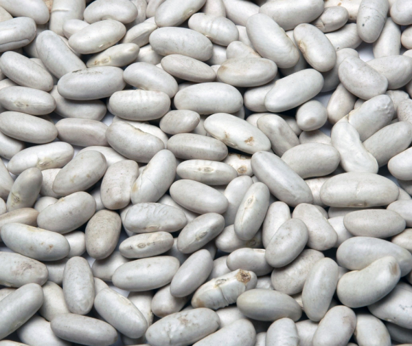 Haricot Beans - Non GMO