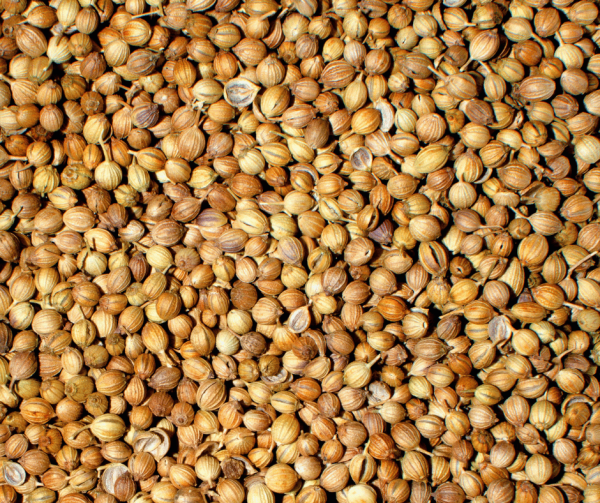 Coriander Seeds